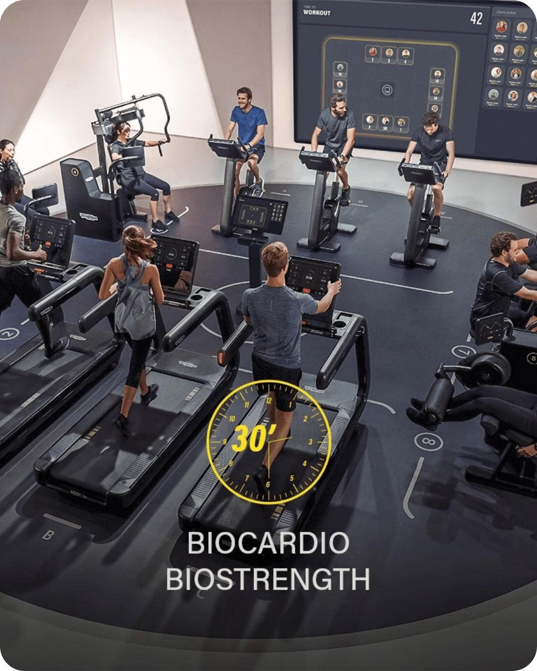 biocircuit Barneveld